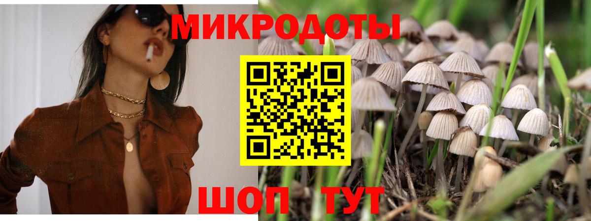 Дзержинский  Псилоцибиновые грибы Psilocybine cubensis  Вход с VPN 