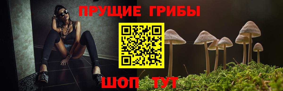 Псилоцибиновые грибы прущие грибы Дзержинский